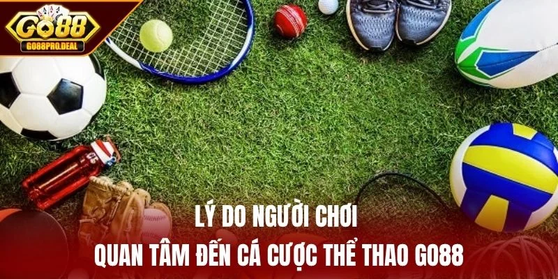 Lý do người chơi quan tâm đến cá cược thể thao GO88
